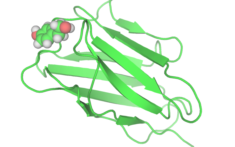 p53-nanobody complex