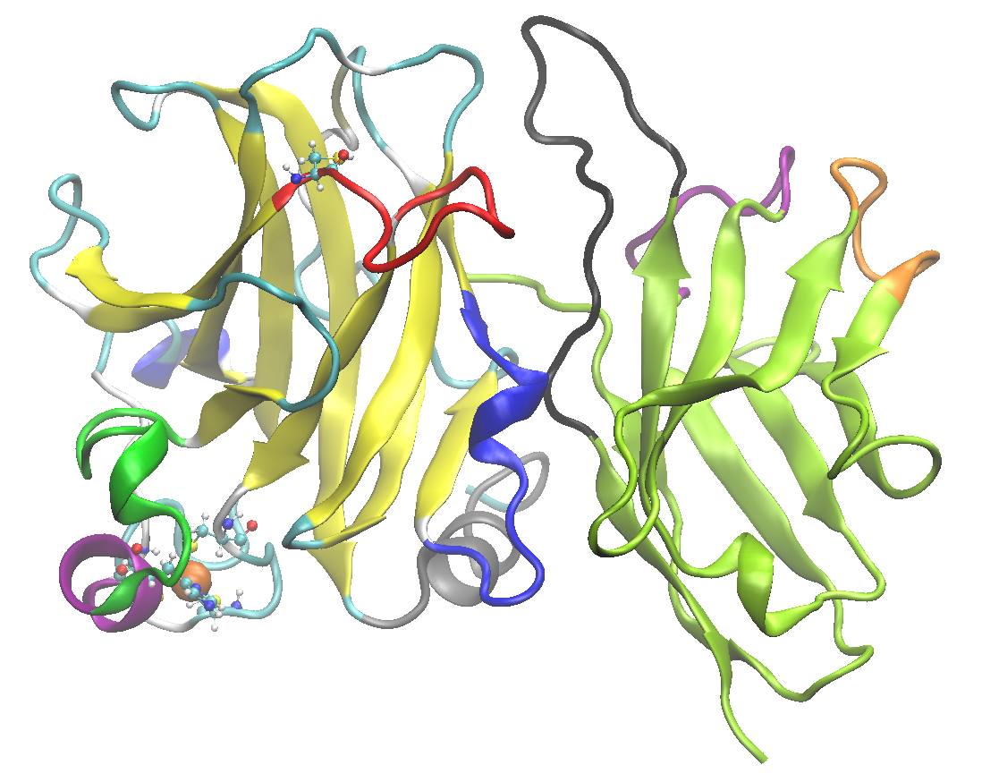 p53-nanobody complex