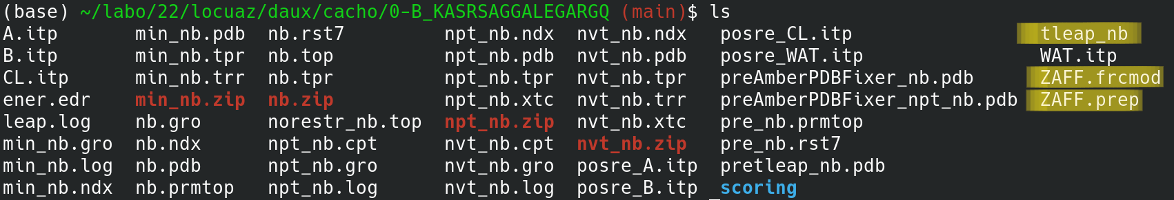 directory structure of a branch folder